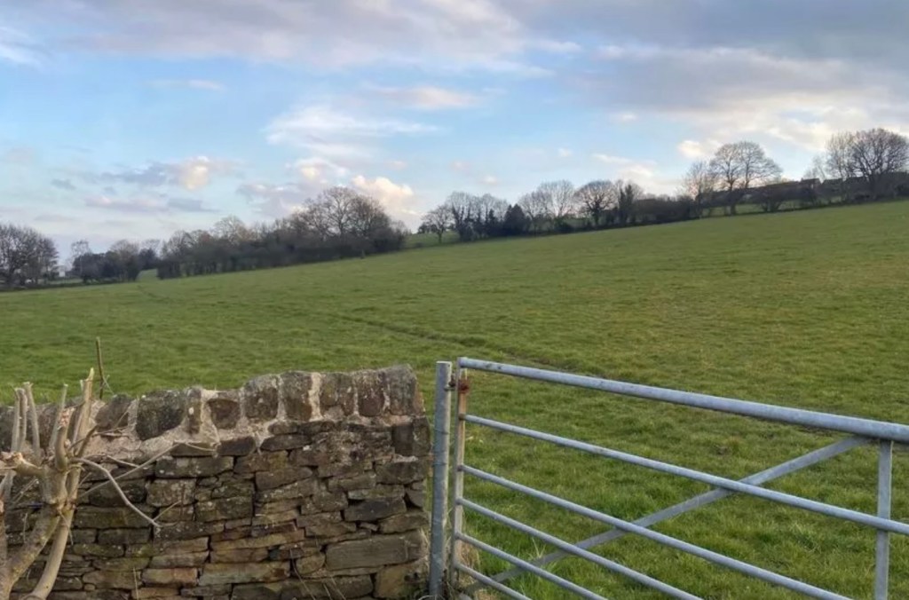 🚨 A Planning Appeal WIN, but a Major Concern About Local Planning&nbsp;Scrutiny!